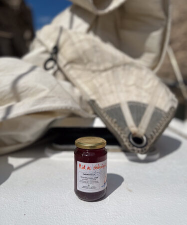 Miel de Chataignier - pot de 500 g